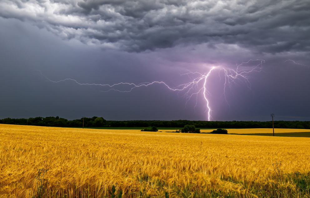 Ozve-li se v září hrom, bude v zimě zavát každý strom